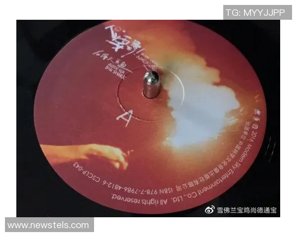 张娜的飞盘人生探索：从热爱到梦想的深度对话与成长之路