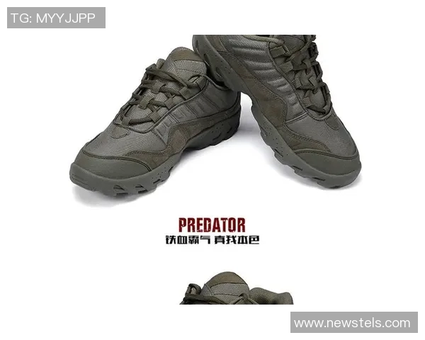 武汉攀岩队整体压制体系的战术解析与实战应用探讨